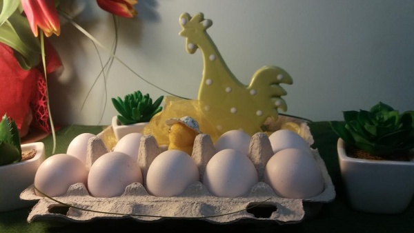 Jajka duże kur zielononóżek opakowanie 10 szt.