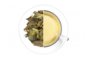 Herbata biała - Ananas & kiwi