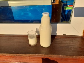 mleko krowie (cena z kaucją za butelkę zwrotną 3zł)