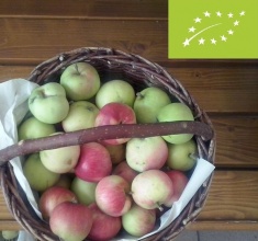 Jabłka eko słodkie