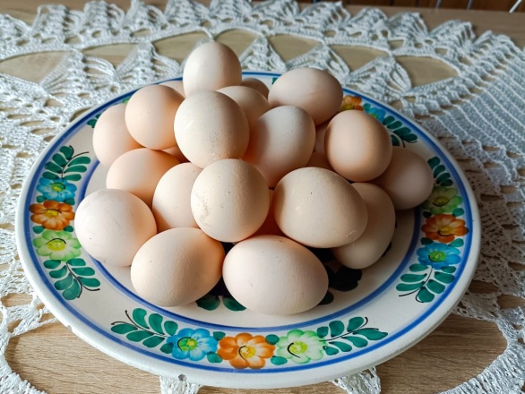 Swojskie jajka opakowanie 10szt.