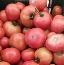 BIO - Pomidory z Zagrody